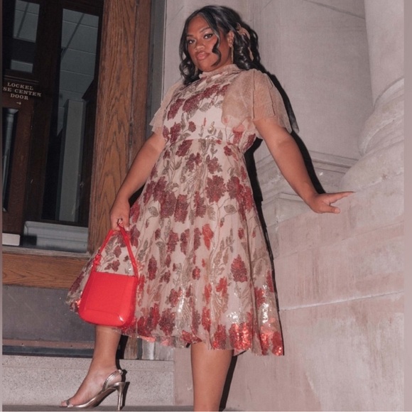 JessaKae Dresses & Skirts - JessaKae Belle Sequins Midi Dress 3X